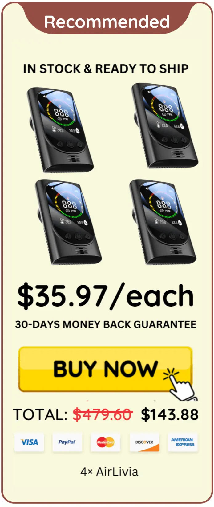 AirLivia offer price